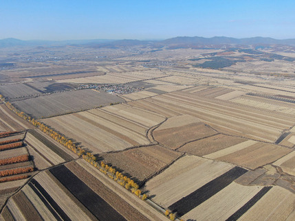 “要建好，更要管好、用好”——高標準農(nóng)田建設觀察