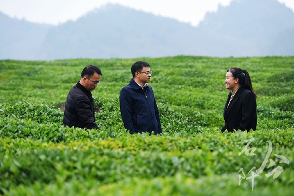 躬身為橋 緊盯供需連接山海 ——記廣東省粵黔協(xié)作工作隊(duì)銅仁工作組石阡小組組長，石阡縣委常委、副縣長李浩泉